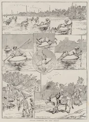 Pulla-Fischen am Indus